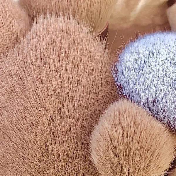 Kit de Maquilhagem 13 Pincéis